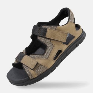 BÄR Adrian - Oliv BÄR Adrian - Oliv